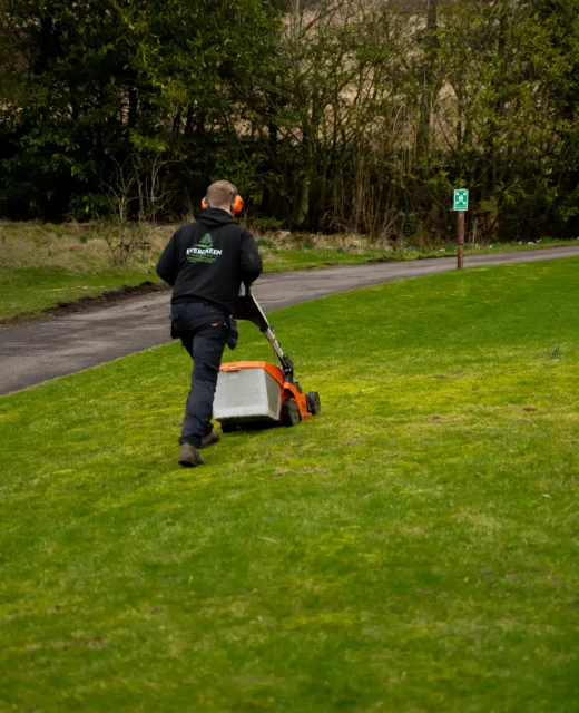Evergreen Grounds Gardening22
